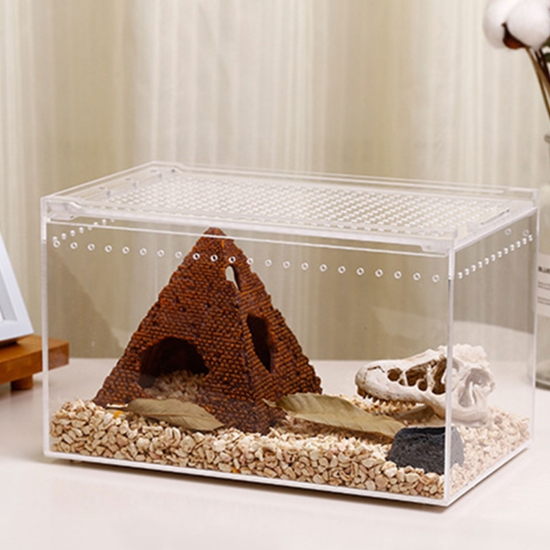 Title 5, Reptile Box Feeding Small Pet Horned Spider Liz...