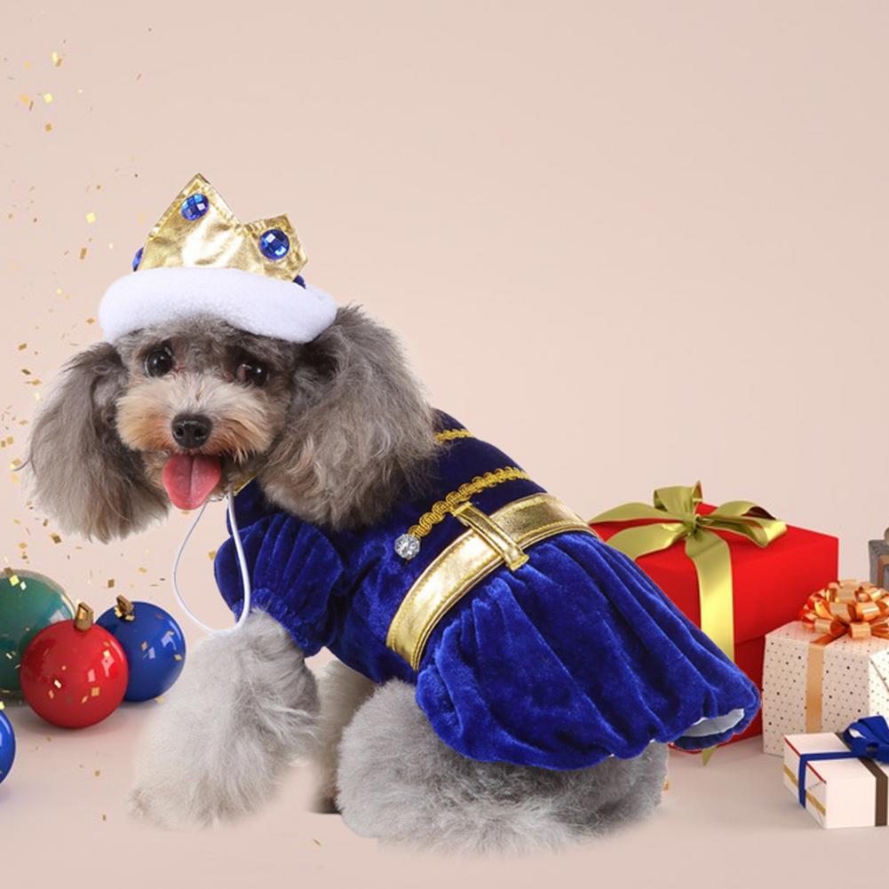 Pet hot sale winter clothes