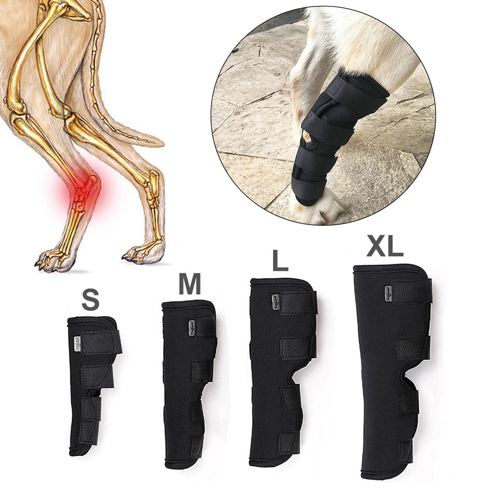 Pet Elbow Knee Pad Protective Supportive Dog Support Leg Brace Bandages Hock Joint Wrap for Puppy Joint Injury Doggy Supplies