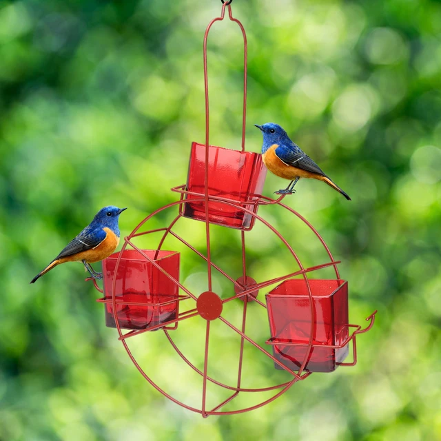 Mangeoire circulaire en acrylique pour oiseaux sauvages, mangeoire à eau pour  fenêtre, balançoire, accent, décoration de jardin, petite maison de colibri  - AliExpress