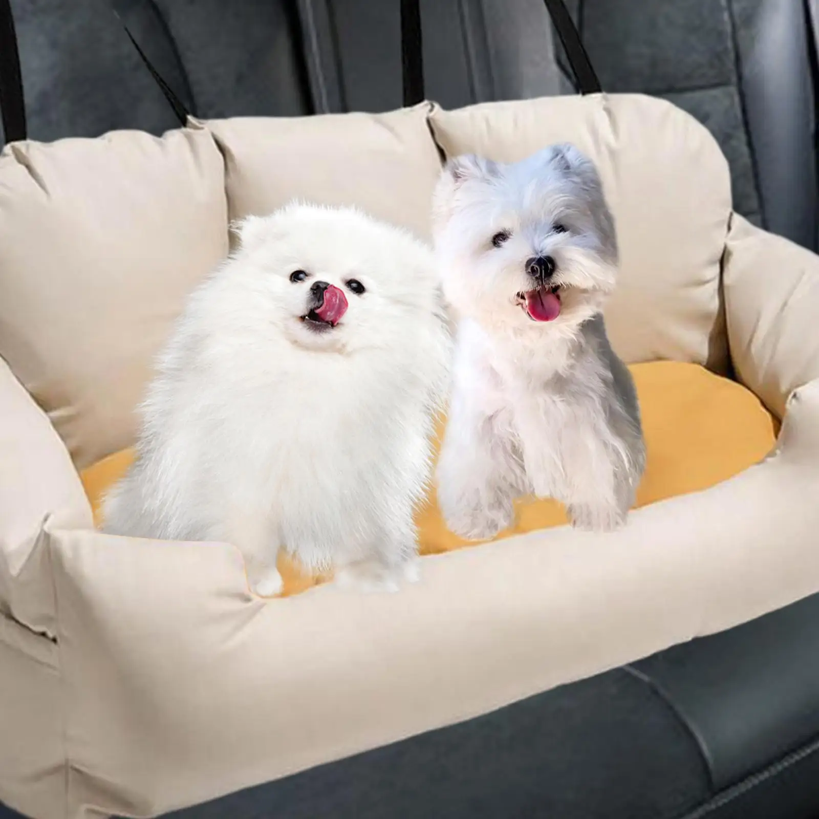 Pets Booster Seat with Clip Comfortable for Back Seat Dog Car Seat Large for Cats Large Dogs Puppy Two Dogs Pet Supplies