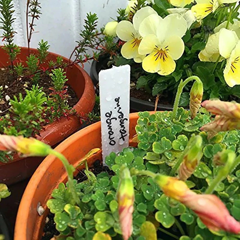 100Pcs Plant Plastic Labels Garden Supplies Nursery Seedling Tray Markers Diy Garden Decorating Tools Flower Pots Landing Tags