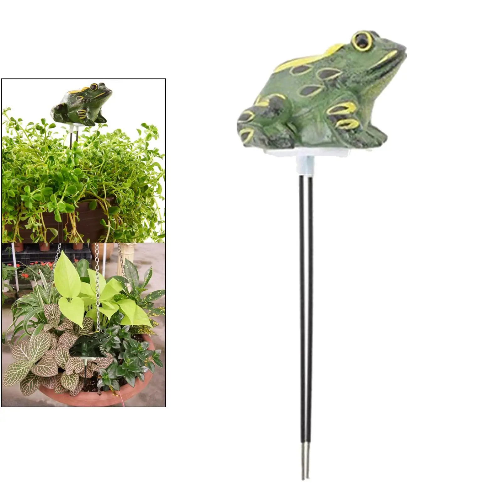 Cute Frog Shape  Meter for Bonsai plant and  No Battery Needed