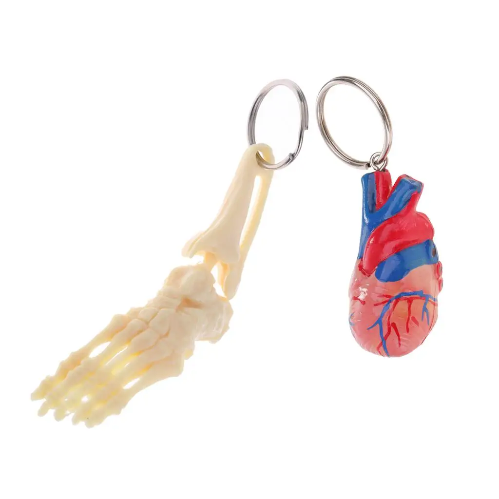 2pcs Novelty Keychain for , Mini Handcrafted Human Heart and Foot Skeleton Model , Learning Tools Collectibles