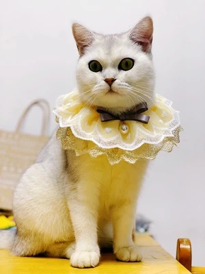 Title 9, Ins Style Cat Dog Puppy Lolita Collare Fazzolet...