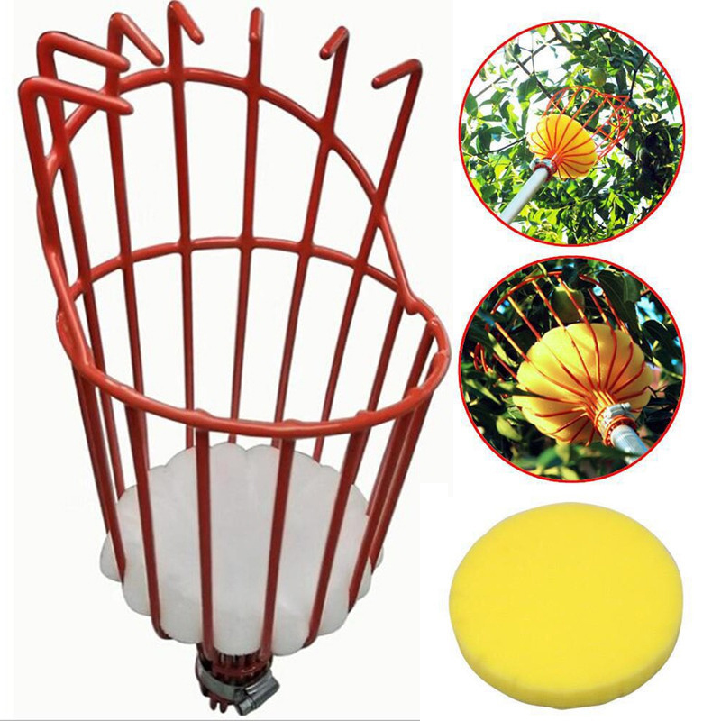 Description Picture 4 of itemFruit Picker Head Without Pole Metal/Plastic Fruit Collector Harvest Picking Apple Citrus Pear Garden Hand Tools