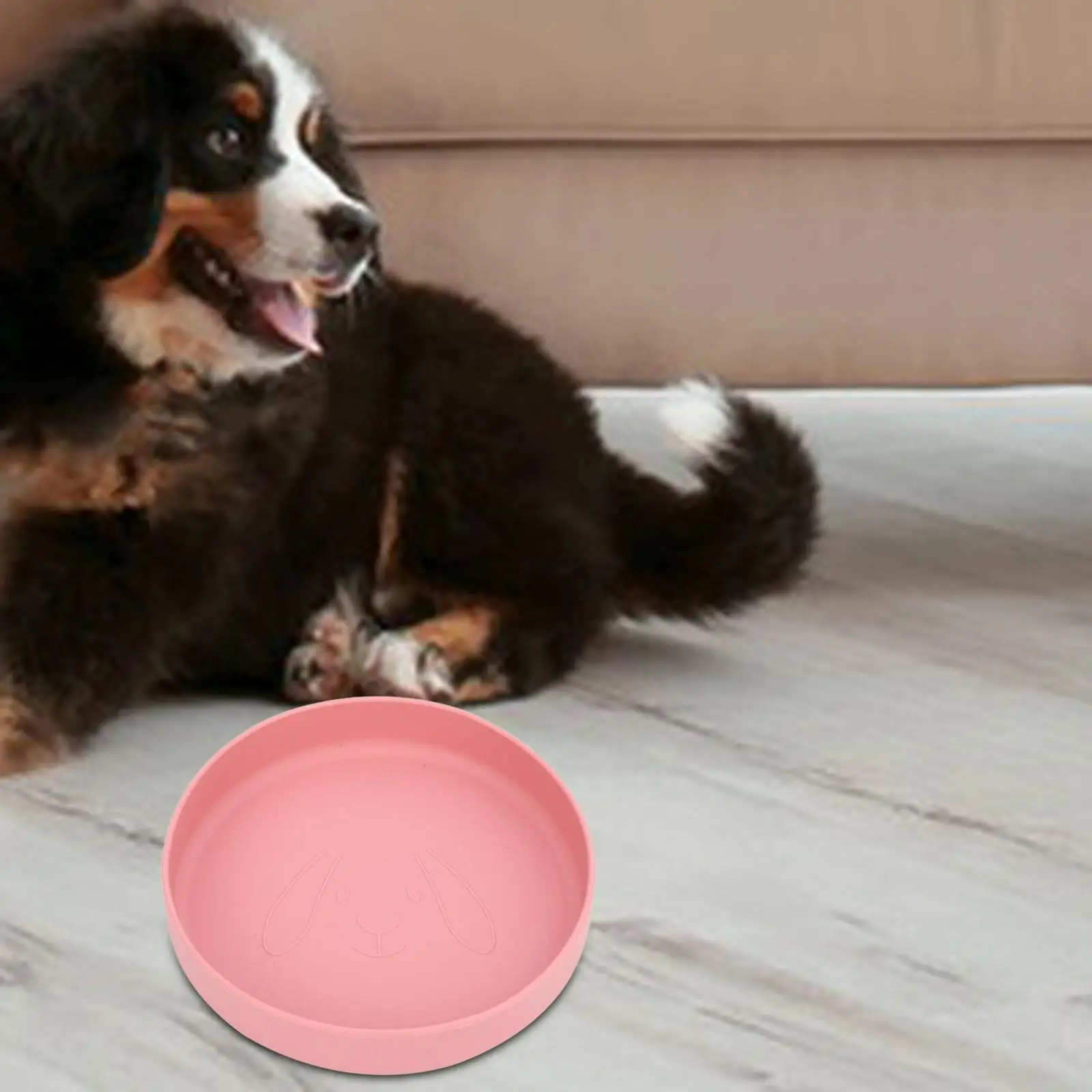 Cat Bowl No Portable 7 Inches Dog Food Bowl Silicone Feeding Bowl for Walking