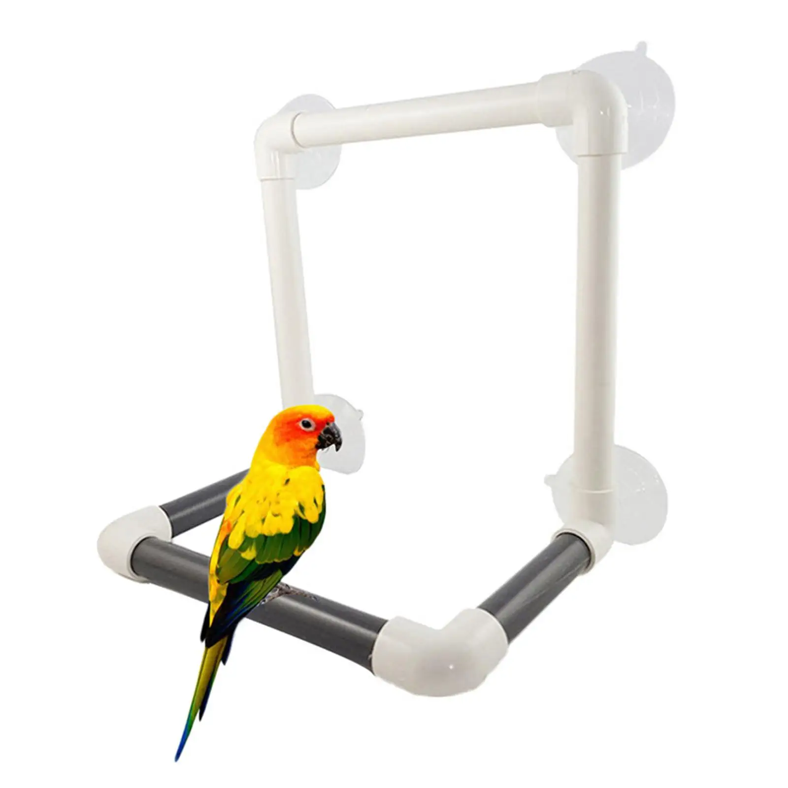 Portable Bird Perch Stand Parrot Shower Stand Suction Cup Cockatiel Window
