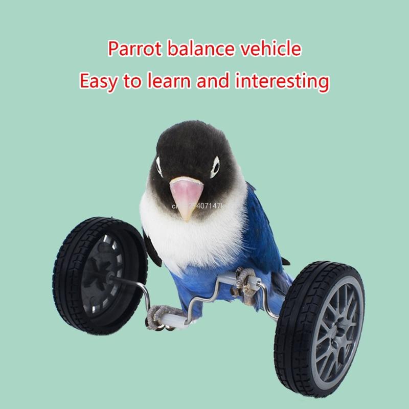 Title 4, Parrot Training Balancing Bike Toy Interactive ...