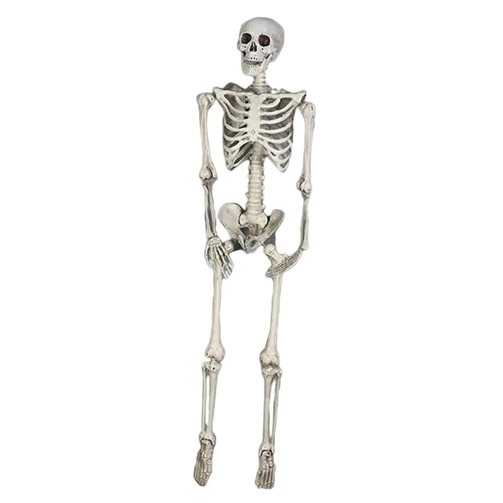 185cm Simulation Skeleton Novelty Decor Scene Layout Accessories Gifts Collectibles Halloween Props for Parties Haunted House