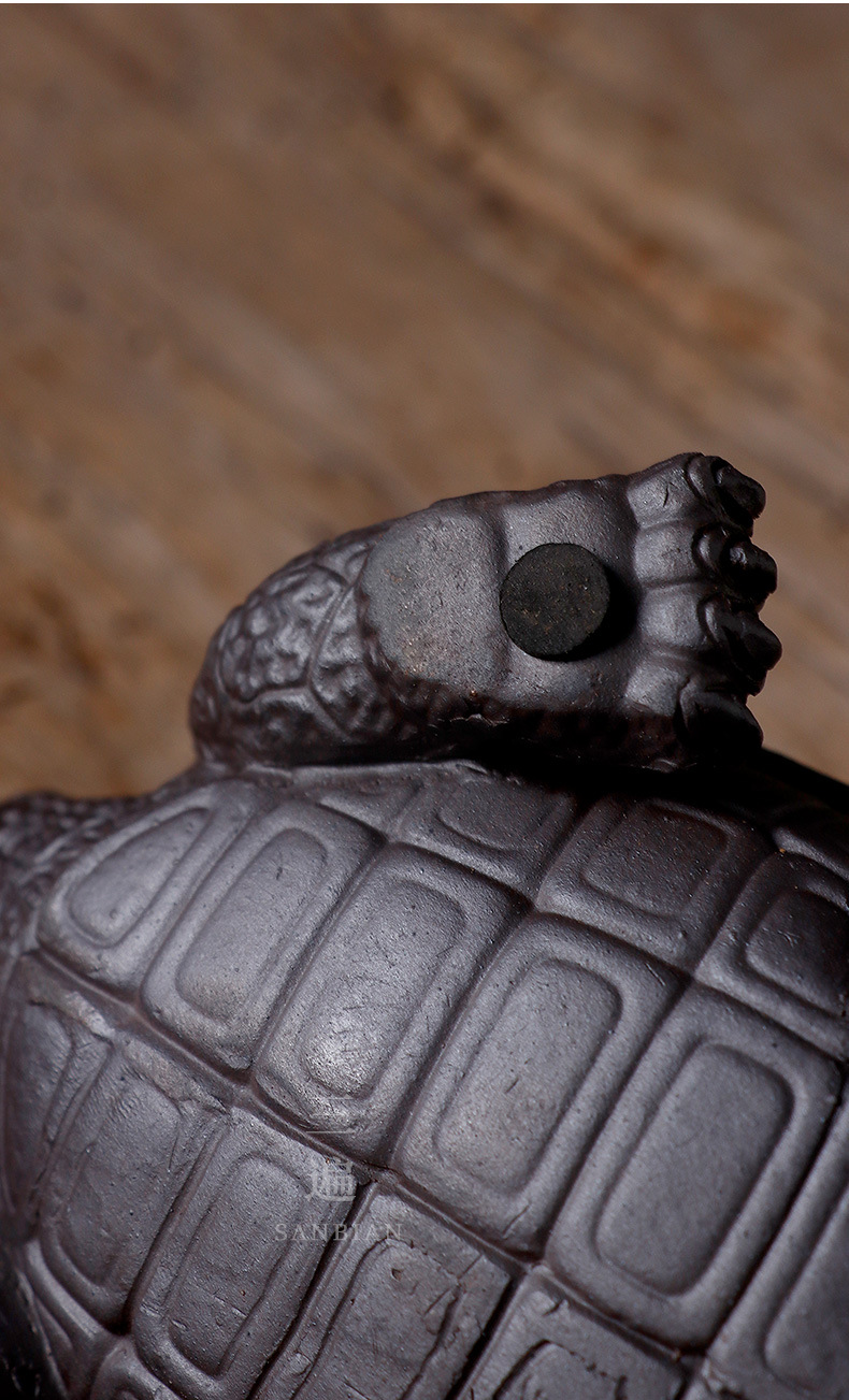 Rock and Mineral Colorful Dragon Turtle_16.jpg