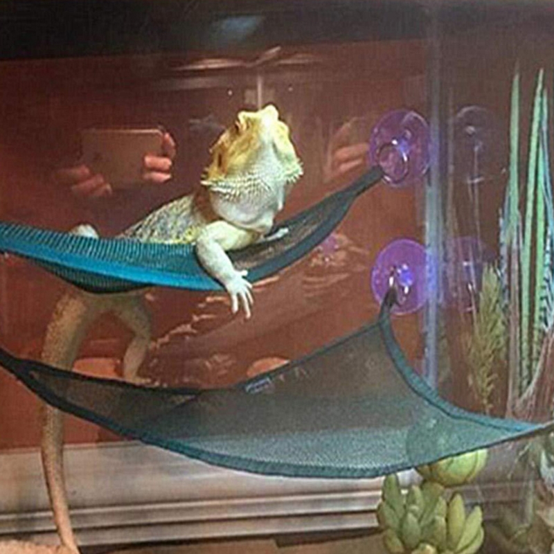 Title 2, 2PCS Reptiles Lounger Hammock Hanging Mesh Bed ...