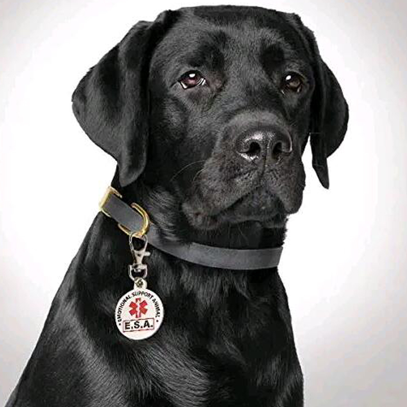 ESA Unterstützung Keychain Service Hund Tag Emotionale Unterstützung Tier mit Rot Medical Alert Symbol 1 zoll Schalter zu Halsbänder und weste Katze – Detail 3