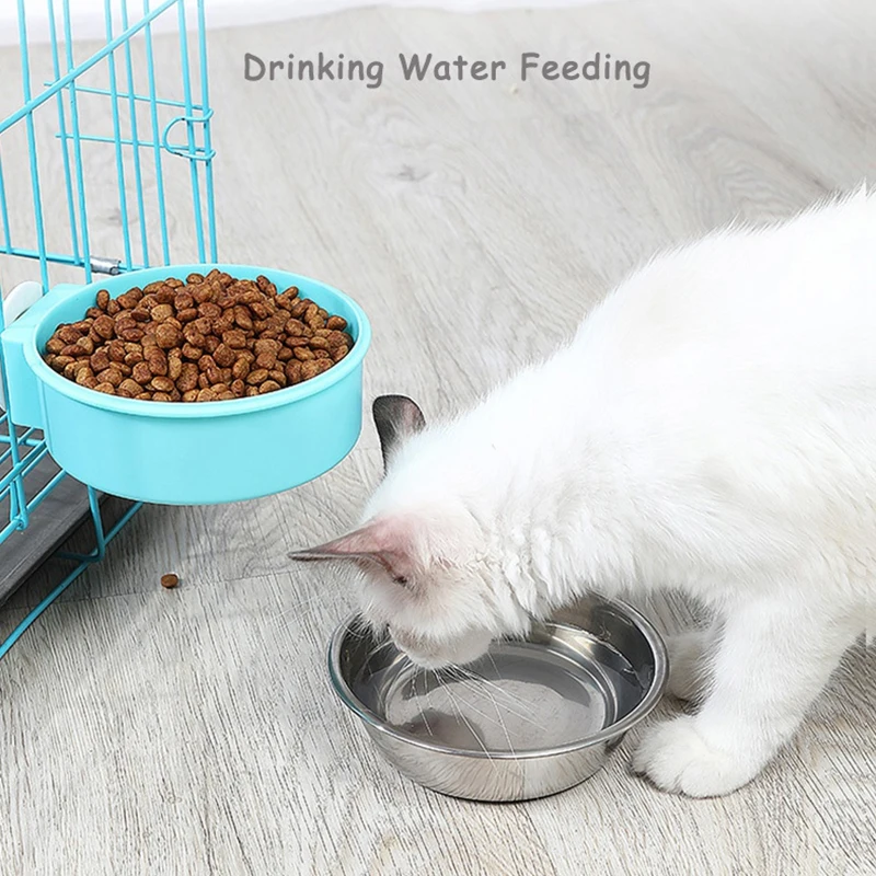 Un gato blanco que come comida de un tazón