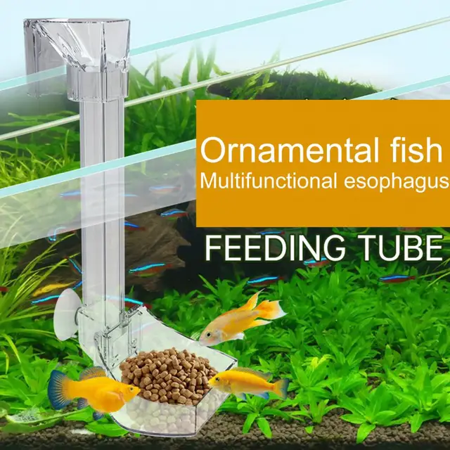 Hesroicy Fish Tank Feeding Tube Transparent Acrylic Hook Suction Cup Large  Dish Prevent Spilling Flashboard Aquarium Fish Shrimp Feeder Fish Tank
