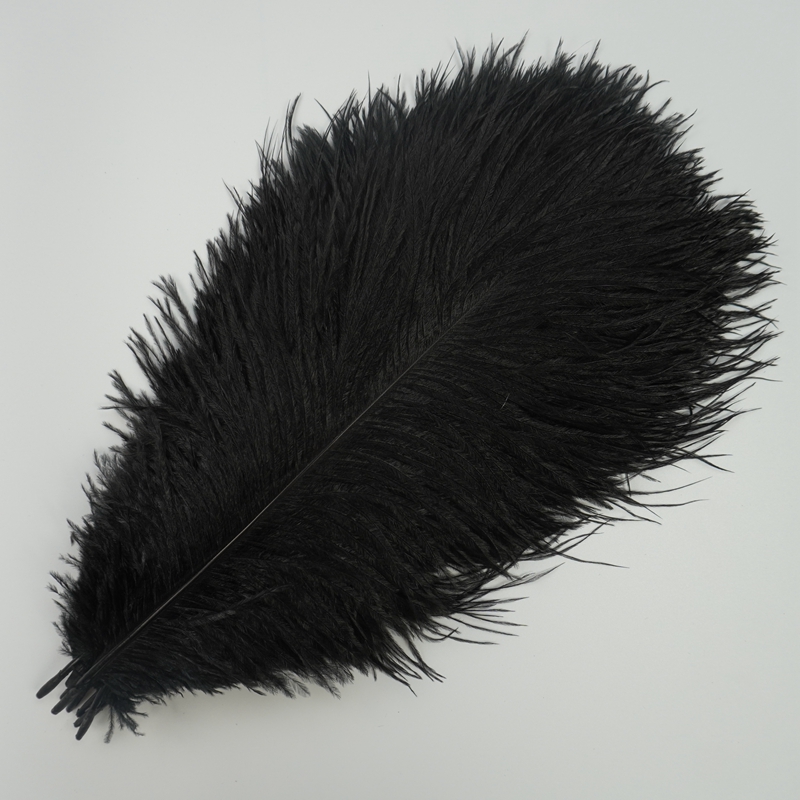 10 Teile/los Straußenfedern zum Basteln 40-45 cm 16-18 "Große Schwarz Weiß Tischdekoration Zubehör Dekor Hochzeit Party Dekoration – Detail 5