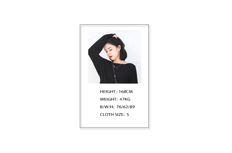 CHIC VEN Women Sweatshirt Turtleneck Pullovers Casual Solid Dralon Warm Bottom Blouse Office Lady Tops Autumn Winter 2023