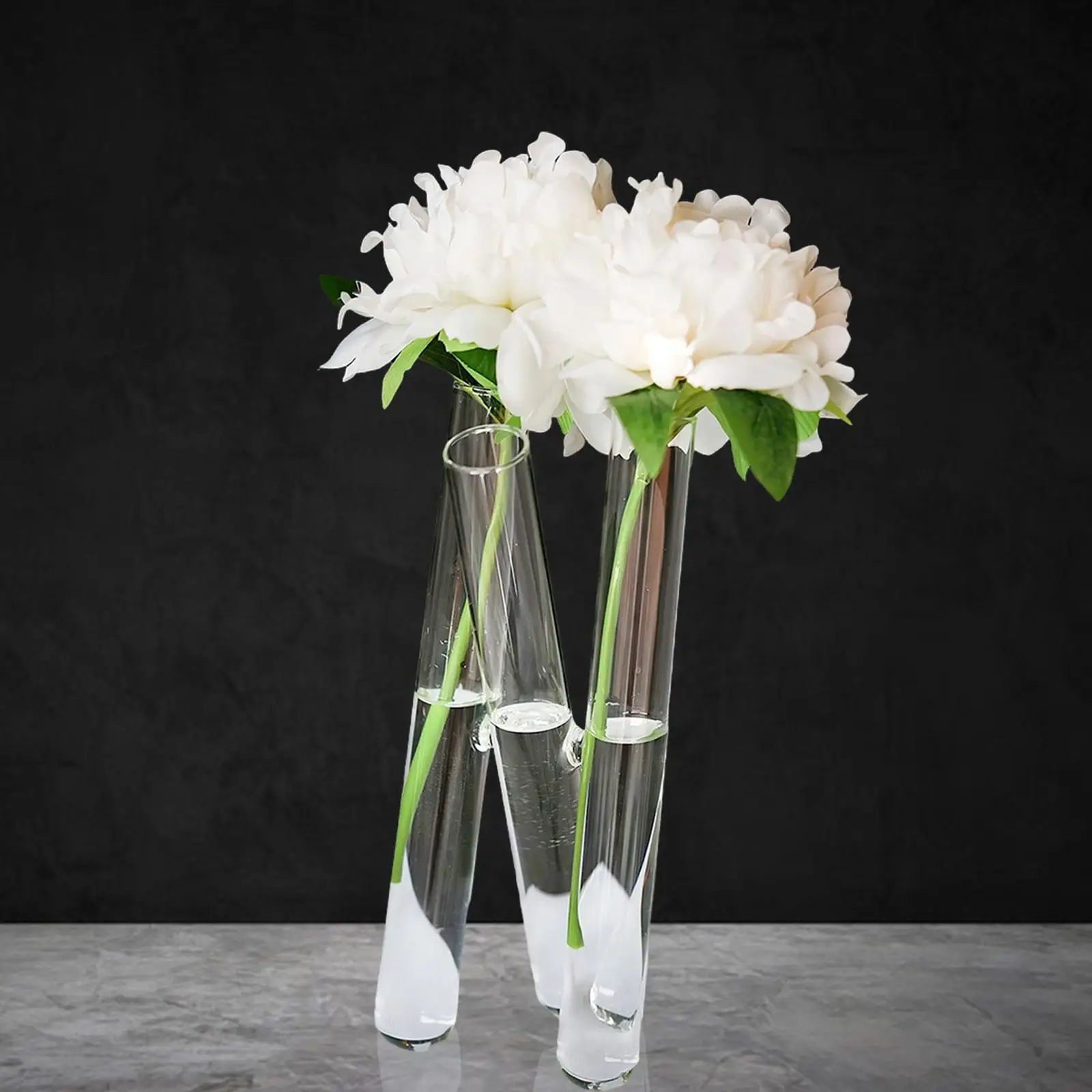 Test Tube Vase with 3 Test Tubes Propagation Decoration Hydroponic Plant Holder for Interior Living Room Desktop Kitchen Wedding