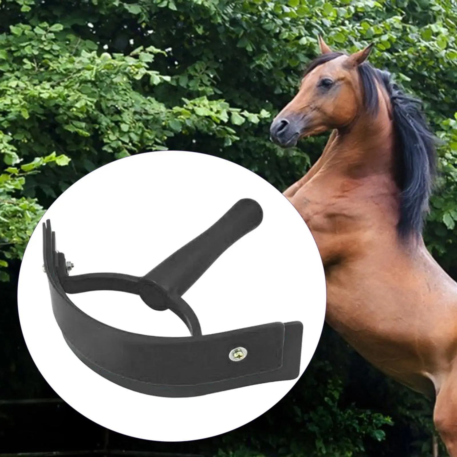 Portable Squeegee Grooming Horse Sweat Scraper Brushes with Handle Supplies