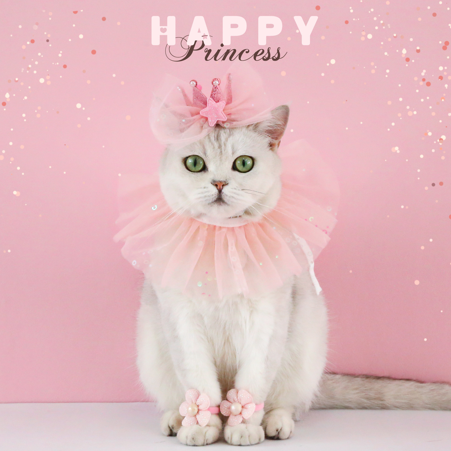 Title 12, Pet Birthday Dress Up Bavaglino in pizzo a pois...