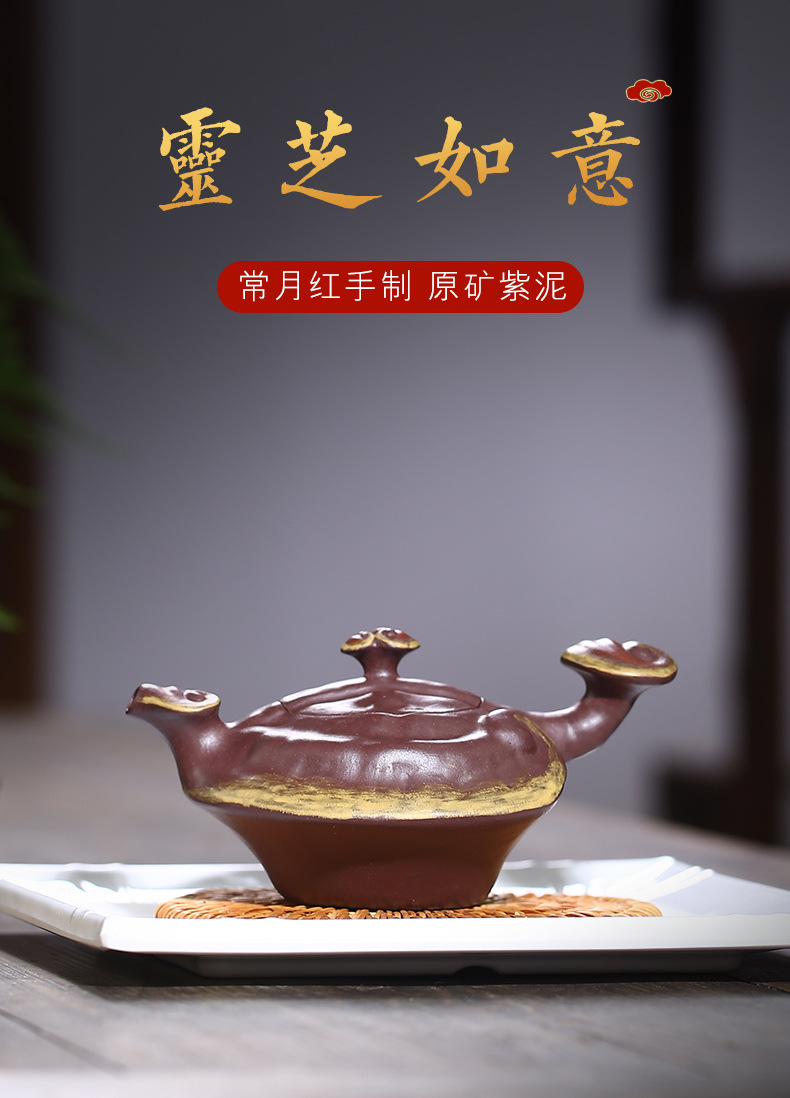 Ganoderma Ruyi_01.jpg
