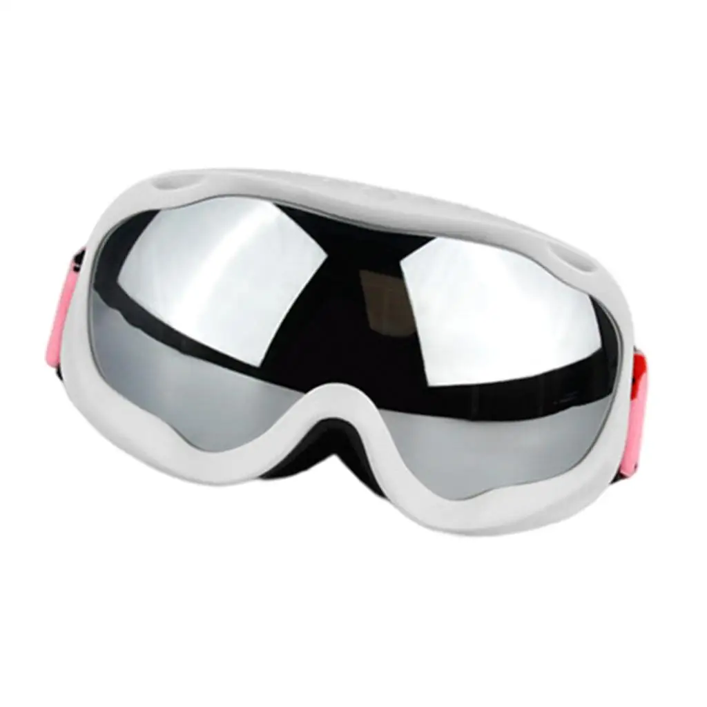 Adult Double Layer Anti-Fog Snow Board Ski Goggles with UV Sunglasses Tinted