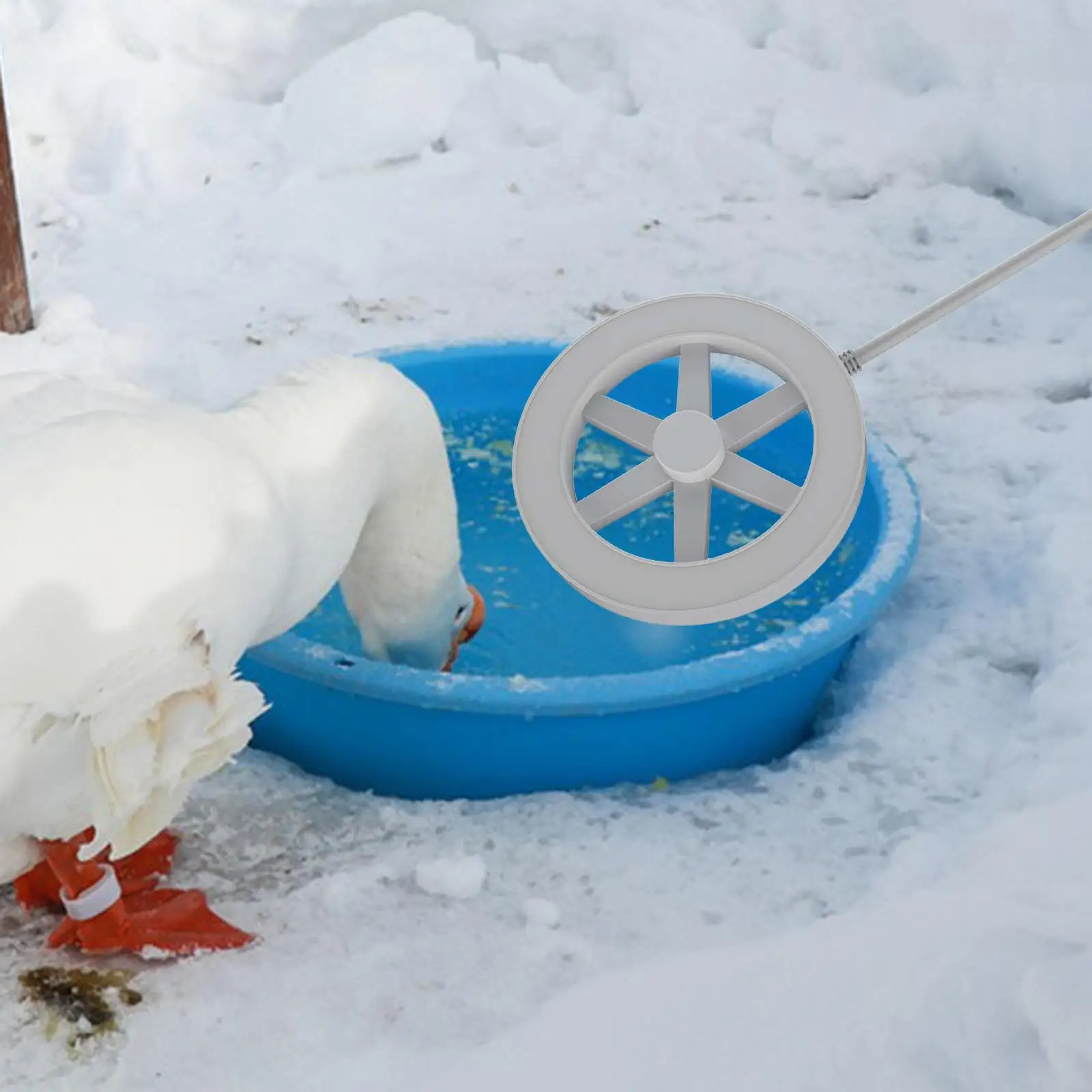 Bird Bath Heater with Thermostatically Controlled Bird Bath Deicer Water Heater for Backyard Garden Winter Outdoor Patio Goose