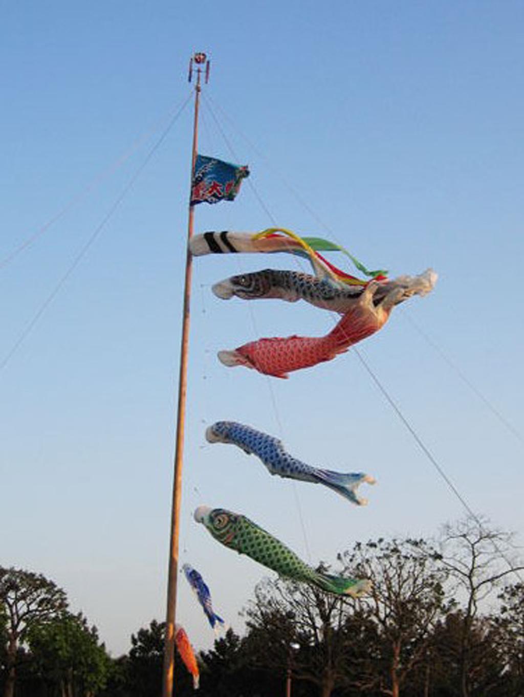 2Pcs Japanese Windsock Carp Flag Koi Nobori Sailfish Red 55cm Green 55cm