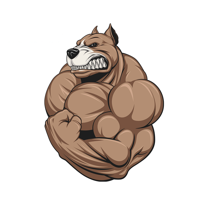 Медведь качок рисунок