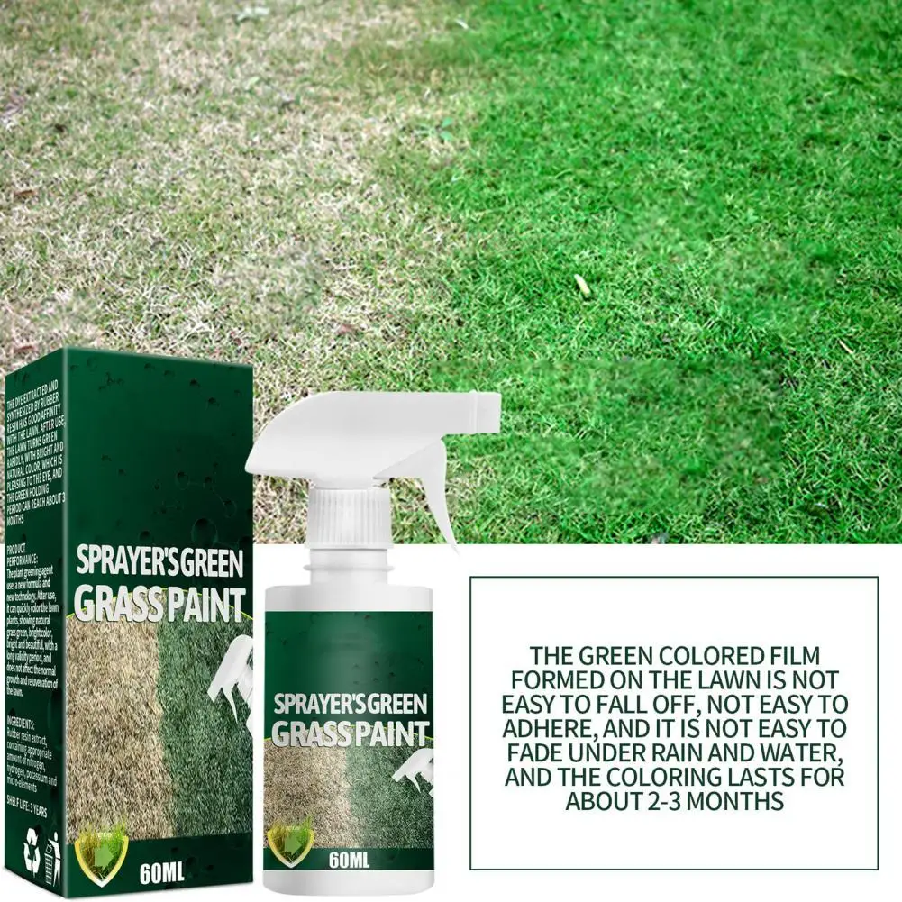 Grass Paint  Great Ultra Concentrated Grass Paint  Convenient Lawn Spray Paint