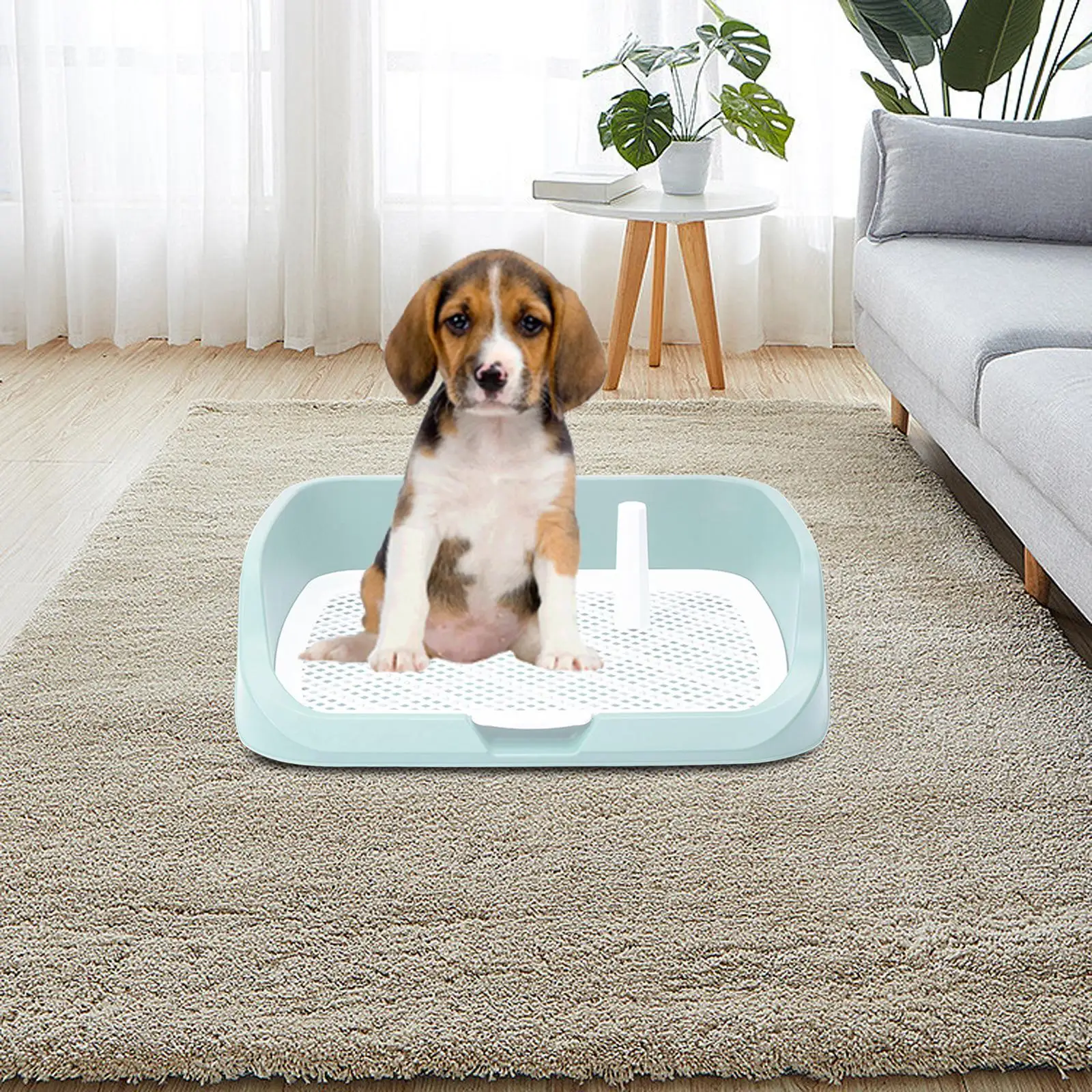 Portable dog toilet, puppy tray to keep paws and floors clean with column dog
