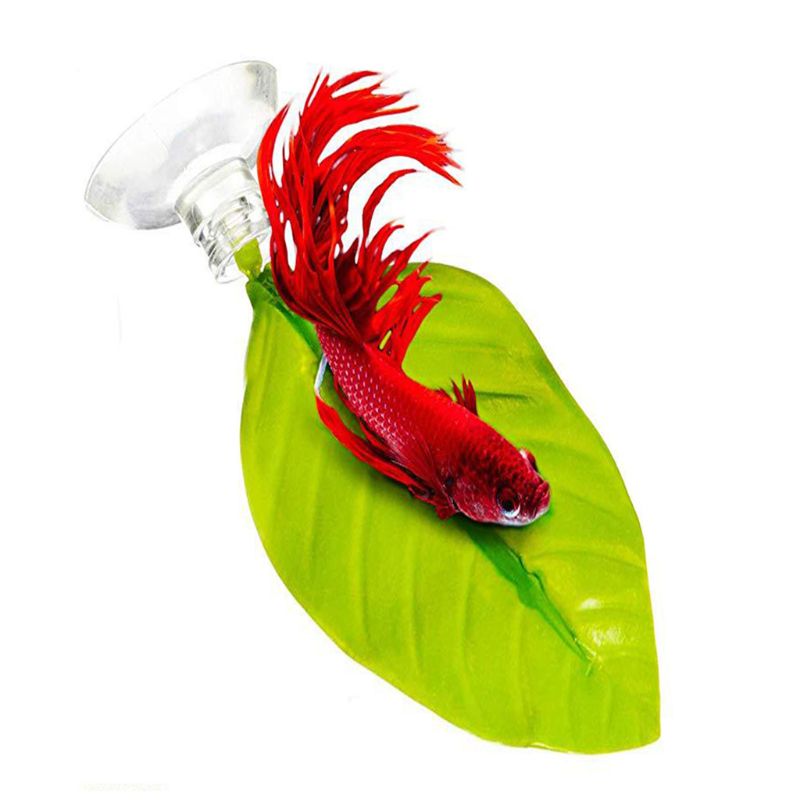 Title 5, Aquarium Aquarium Betta lit feuille hamac décor...