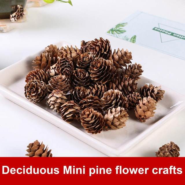 30pcs Small Dried Pine Cones Accents Home Decoration Ornaments - AliExpress