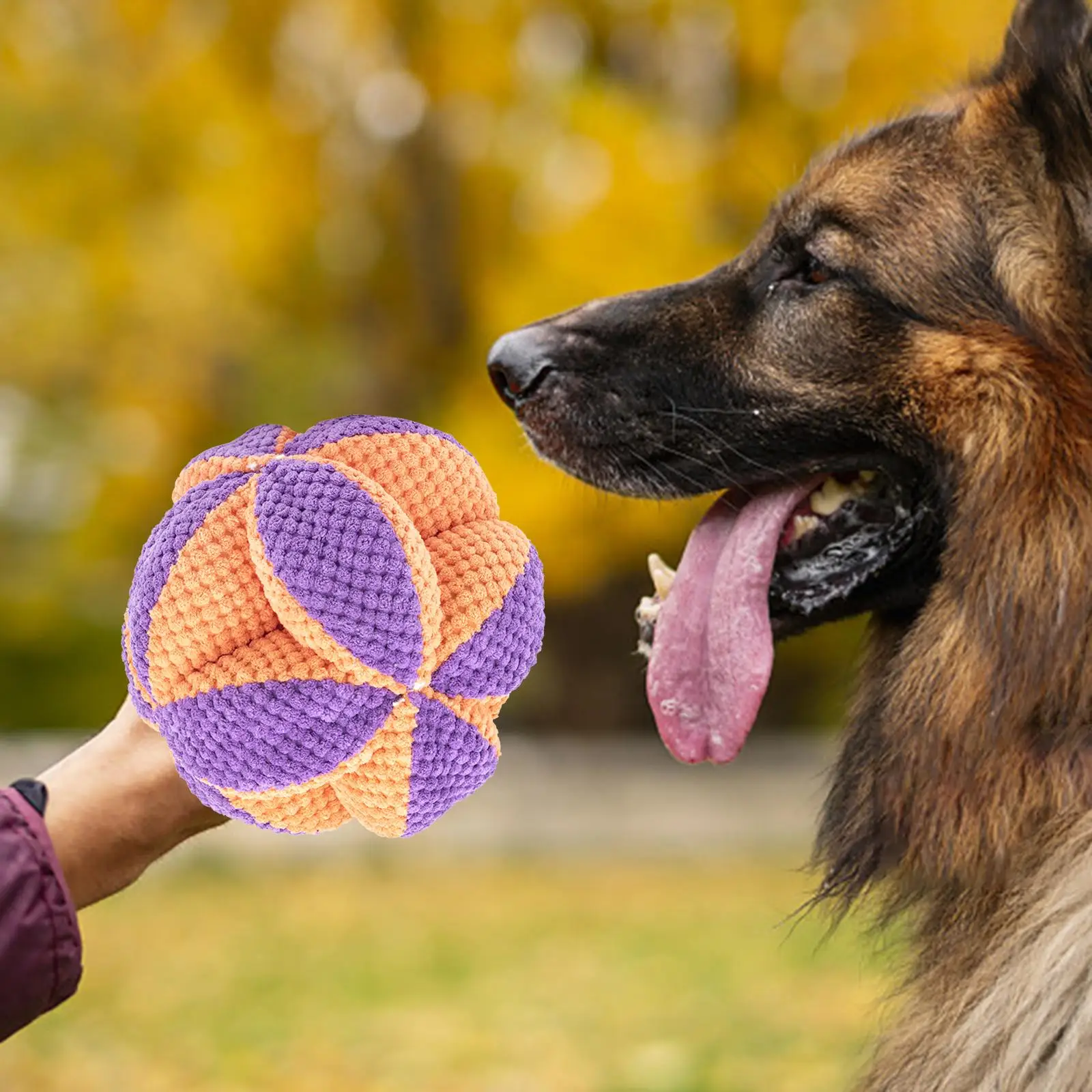 Pet Sniff Ball Toy Treat Dispensing Bite Resistant Foraging Instinct Training Interactive Dog Toys