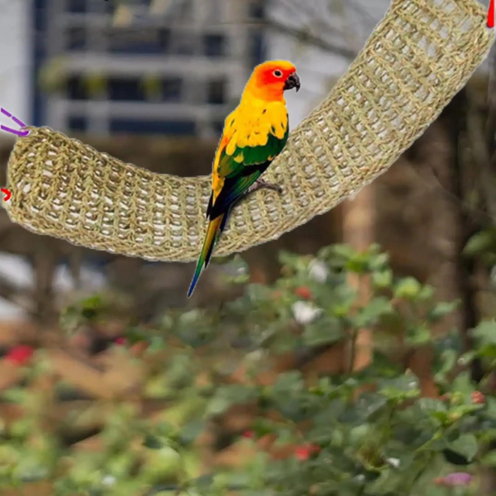 Parrots Stand Climbing Net Hanging Accessory Hammock for Birds Macaws