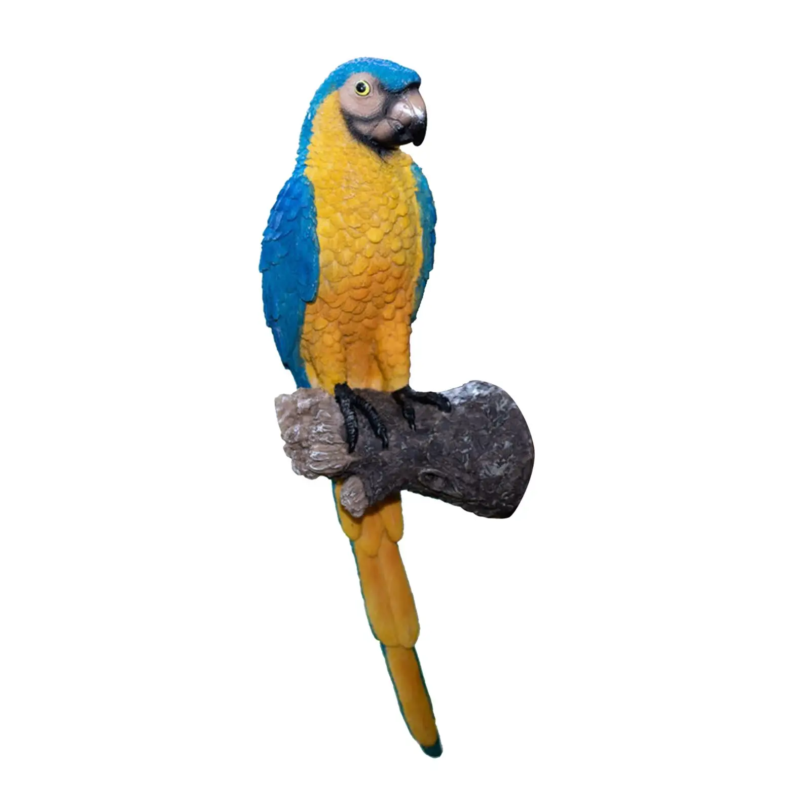 Garden Parrot Statue Wall Mount Lifelike Tree Macaws Decoration Accessories