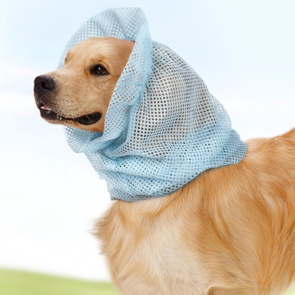 Title 6, Snood léger pour chien, Protection d