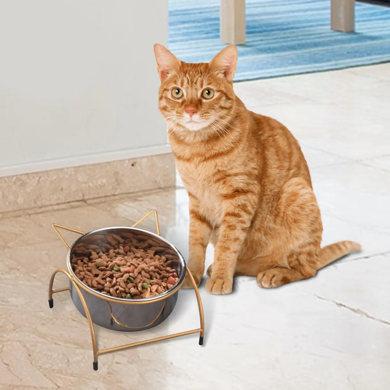 Elevated Cat Bowl Raised Cat Food Bowl Stainless Steel Drinking Raised Dog Bowl Food Container Cat Dish Feeder for Indoor Cats