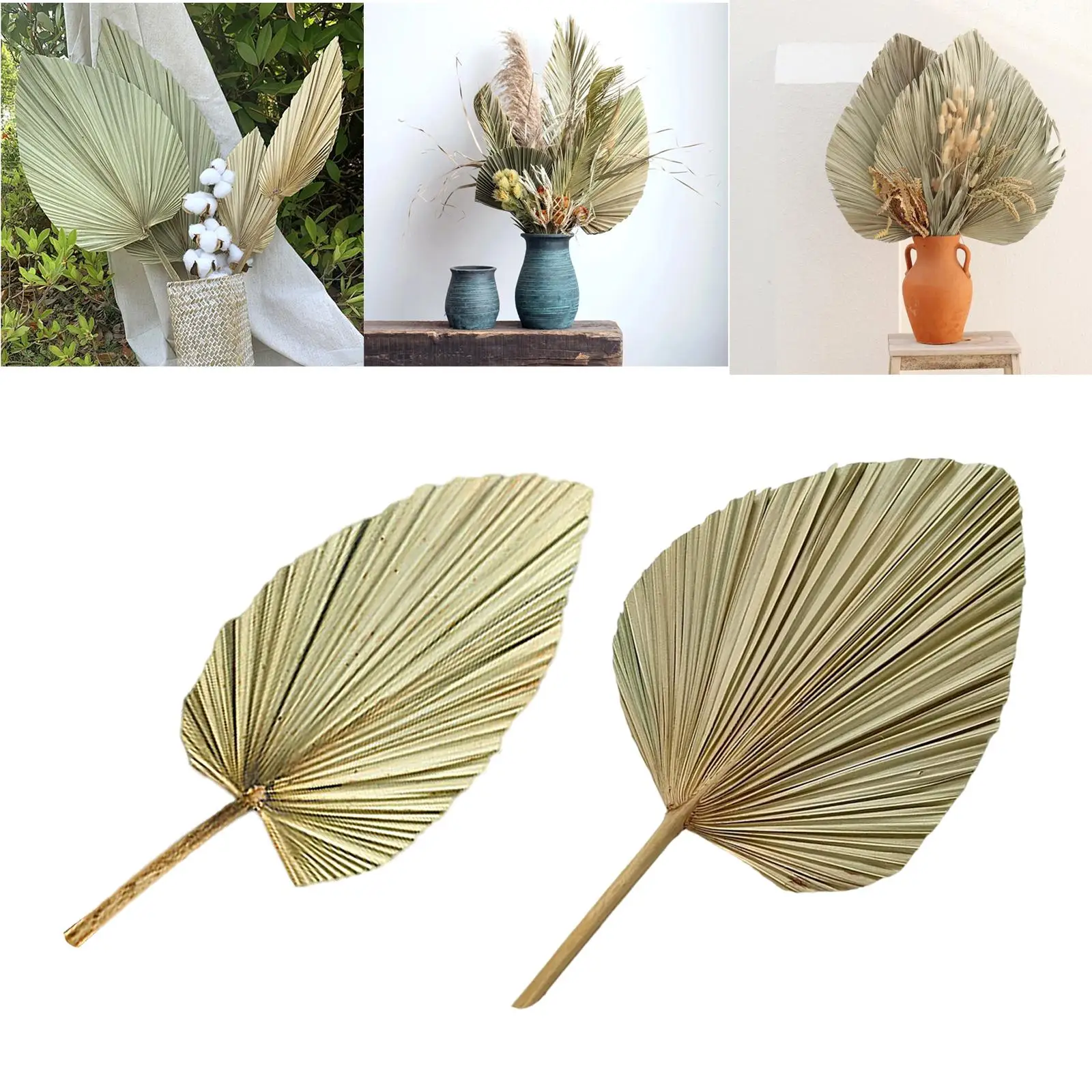Dried Palm Leaf Real Palm Leaves Dried Flower Bouquet for Vase Boho Dry Leaves