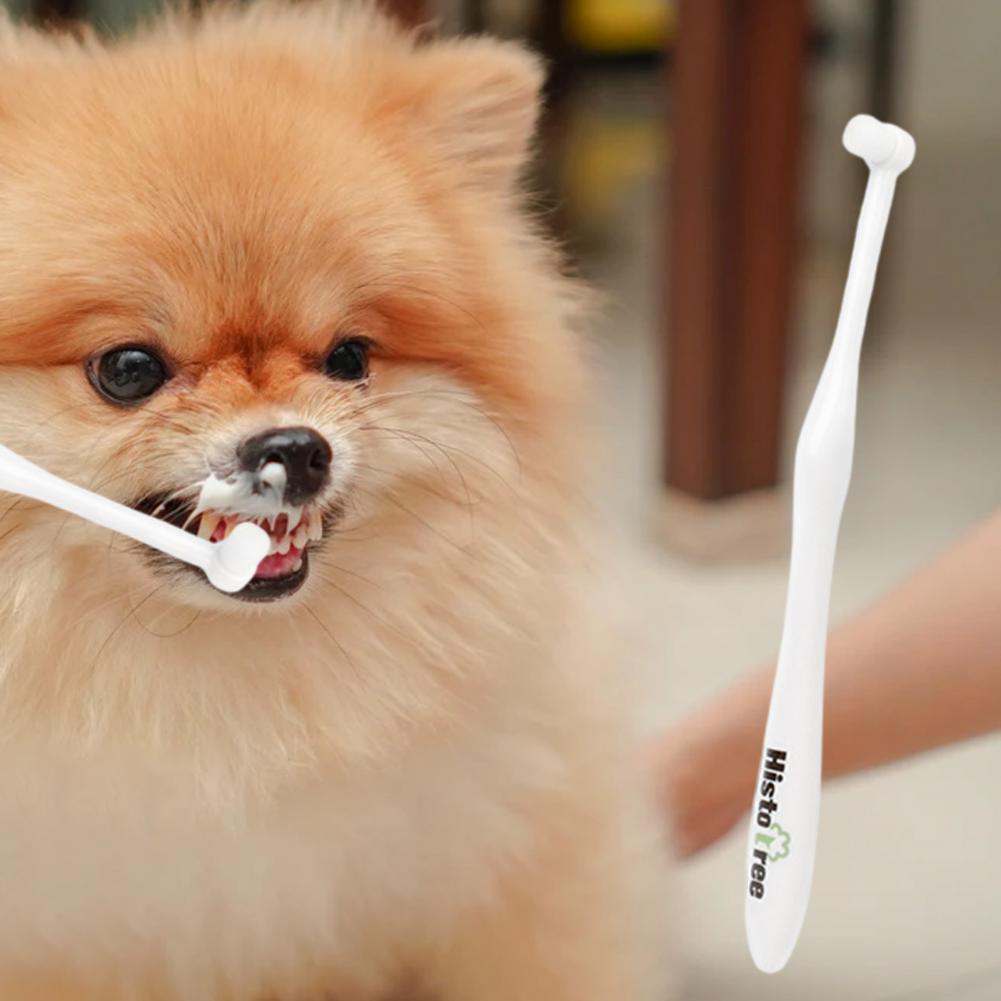 Title 1, Brosse à dents pratique pour chien, sans bavure...