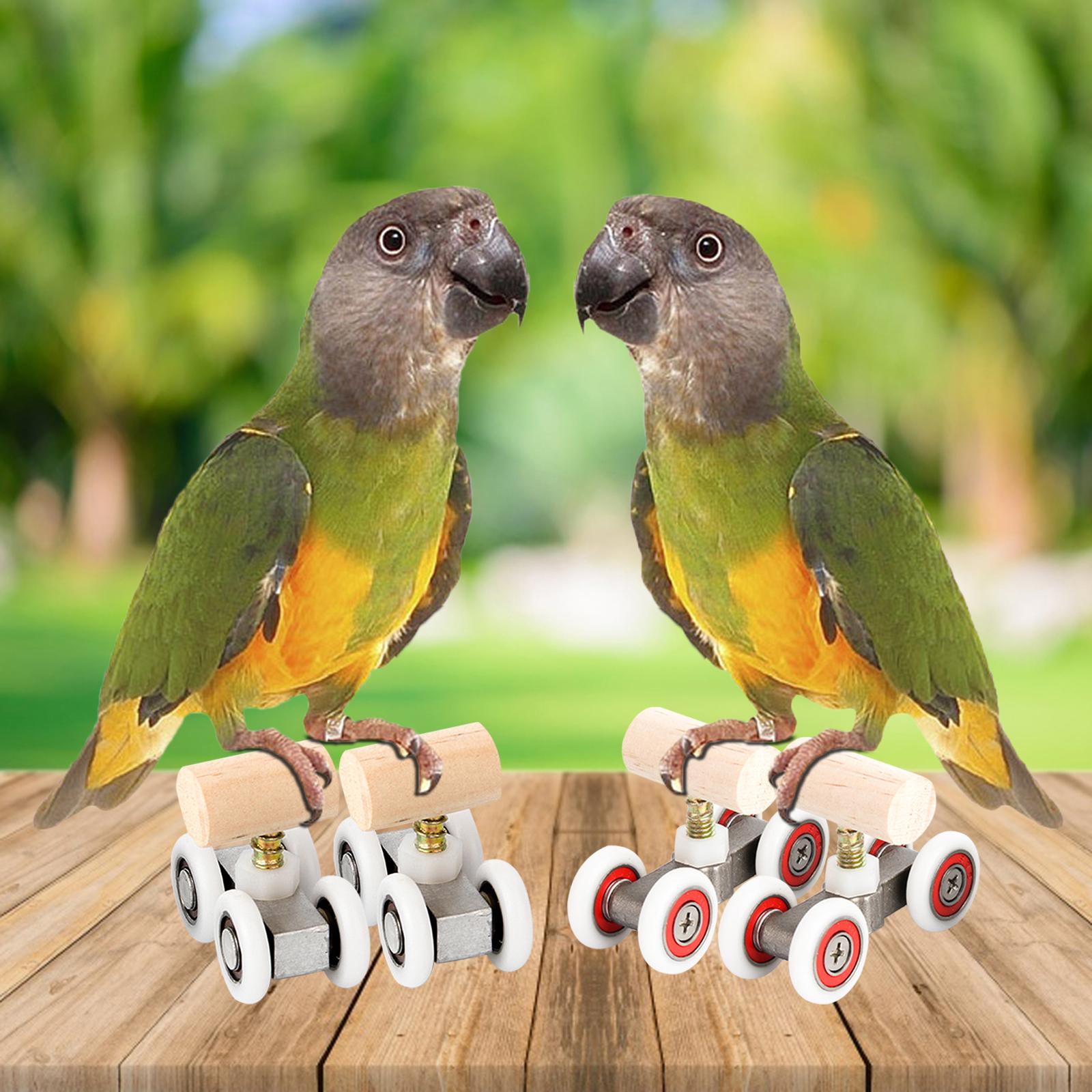Mini Parrot Trick Roller Ice Skates Skateboard Intelligence Accessories for Lovebird Medium Large Birds Parakeet Macaw Conure