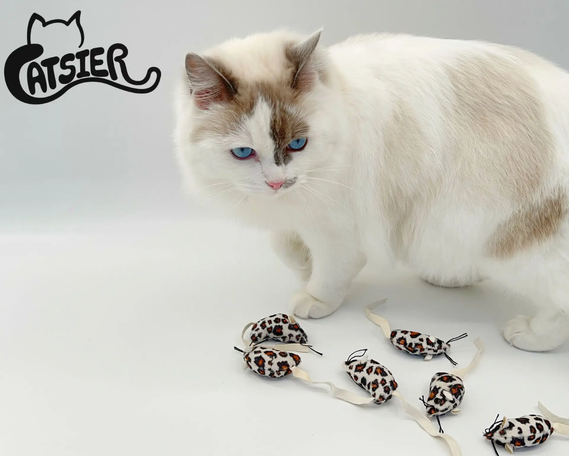 12Pcs/Lot Leopard Mouse PU Leather Tail Cats Toys Pet Supplies
