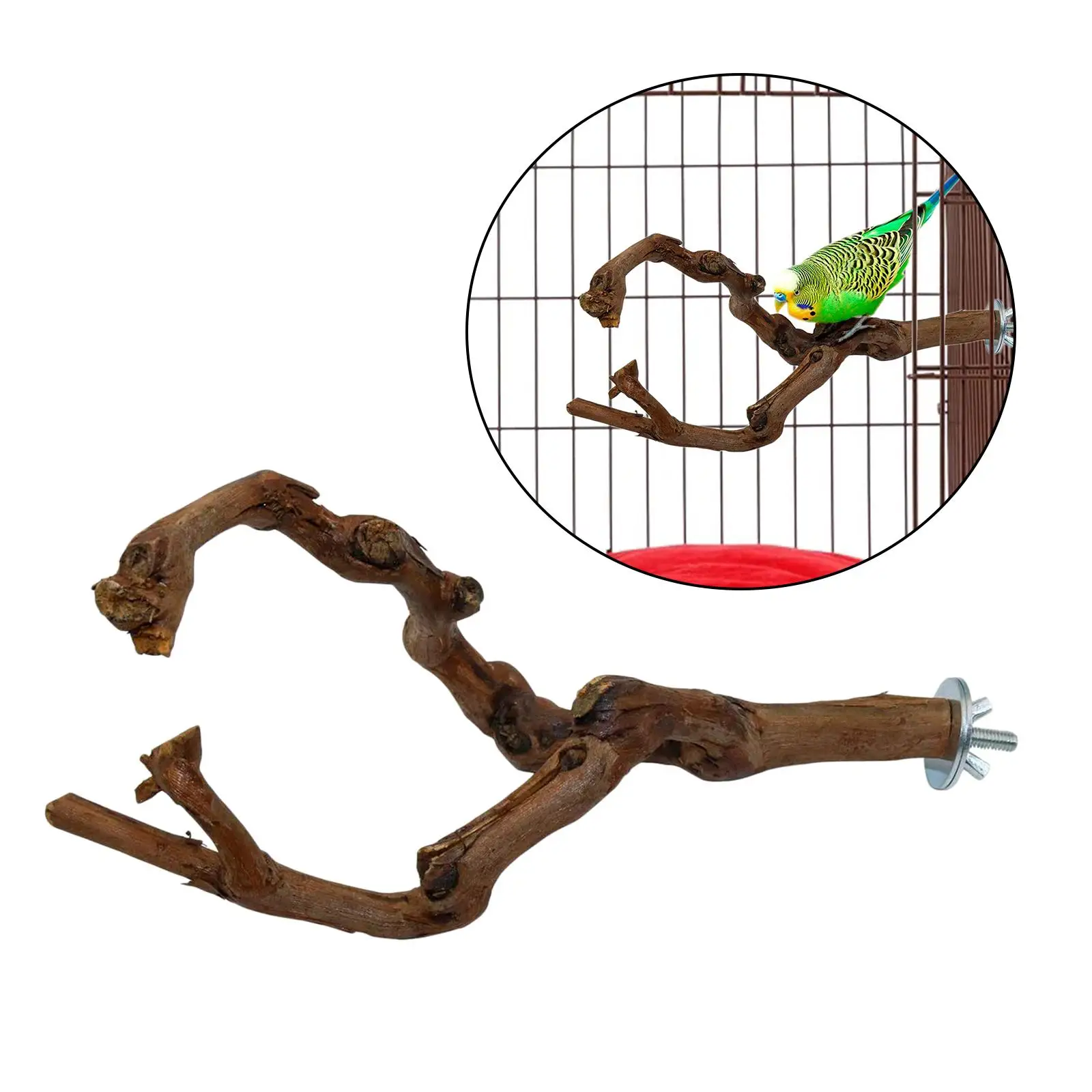 Wooden Parrot Bird Stand  Toys Rest Holder Perches for Small Parakeets Cockatiels Climbing Grinding Standing