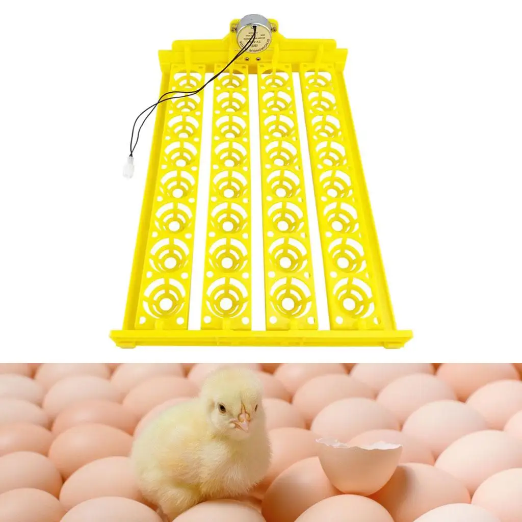 Egg Incubator Tray Automatic Hatcher Small Household 32 Eggs 220V Tray for Chick Poultry Bird Duck Eggs