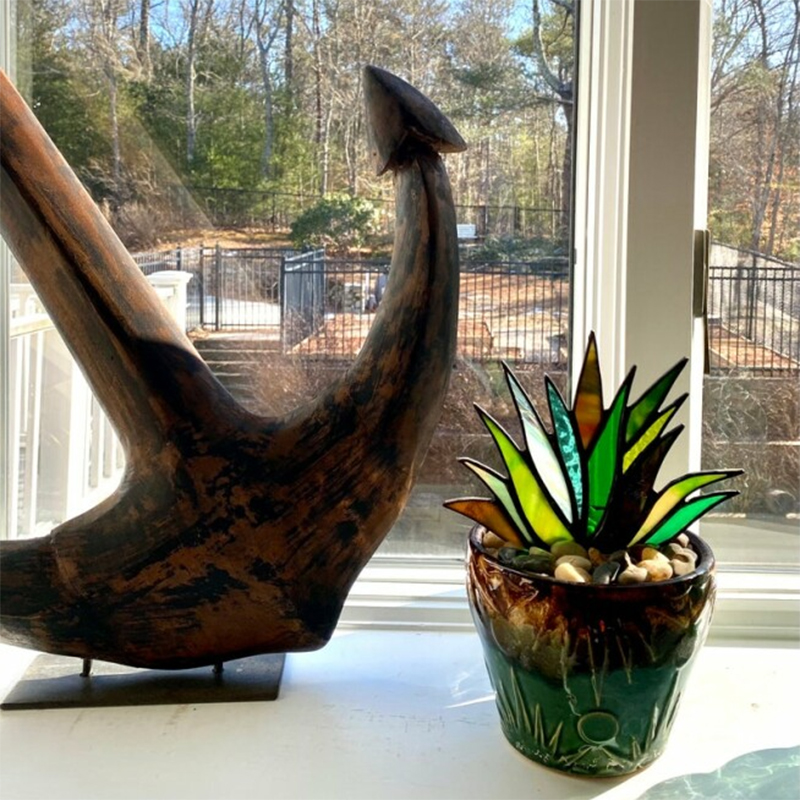 (Last Day Flash Sale-50% Off) Stained Agave Plante