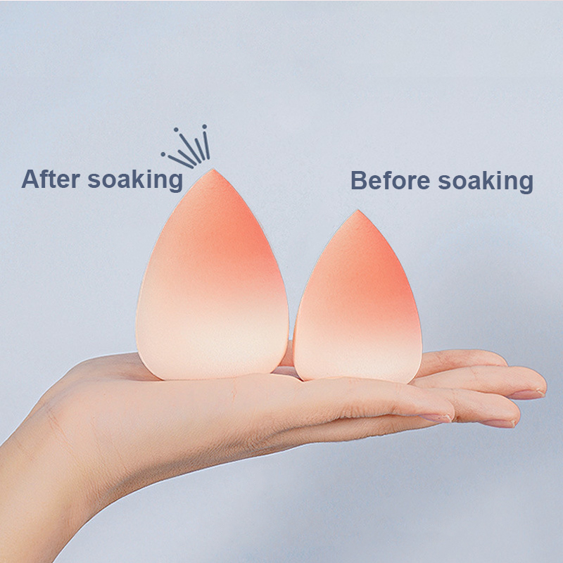 Description Picture 4 of item1PC Make Up Sponge Powder Puff Cat Claw Shell Cosmetic Puff High Quality Professional Foundation Powder Makeup Beauty Sponge