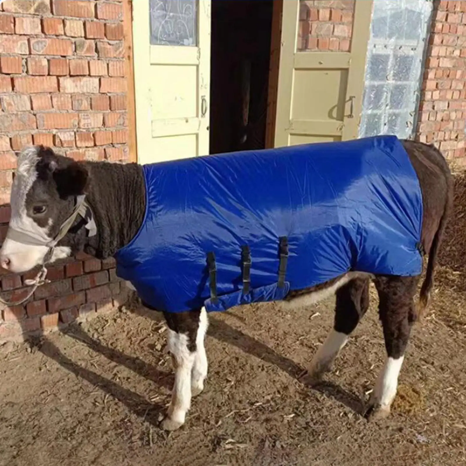 Calf Warm Clothes Vest Winter Livestock Protector Waterproof Keep Cow Warm