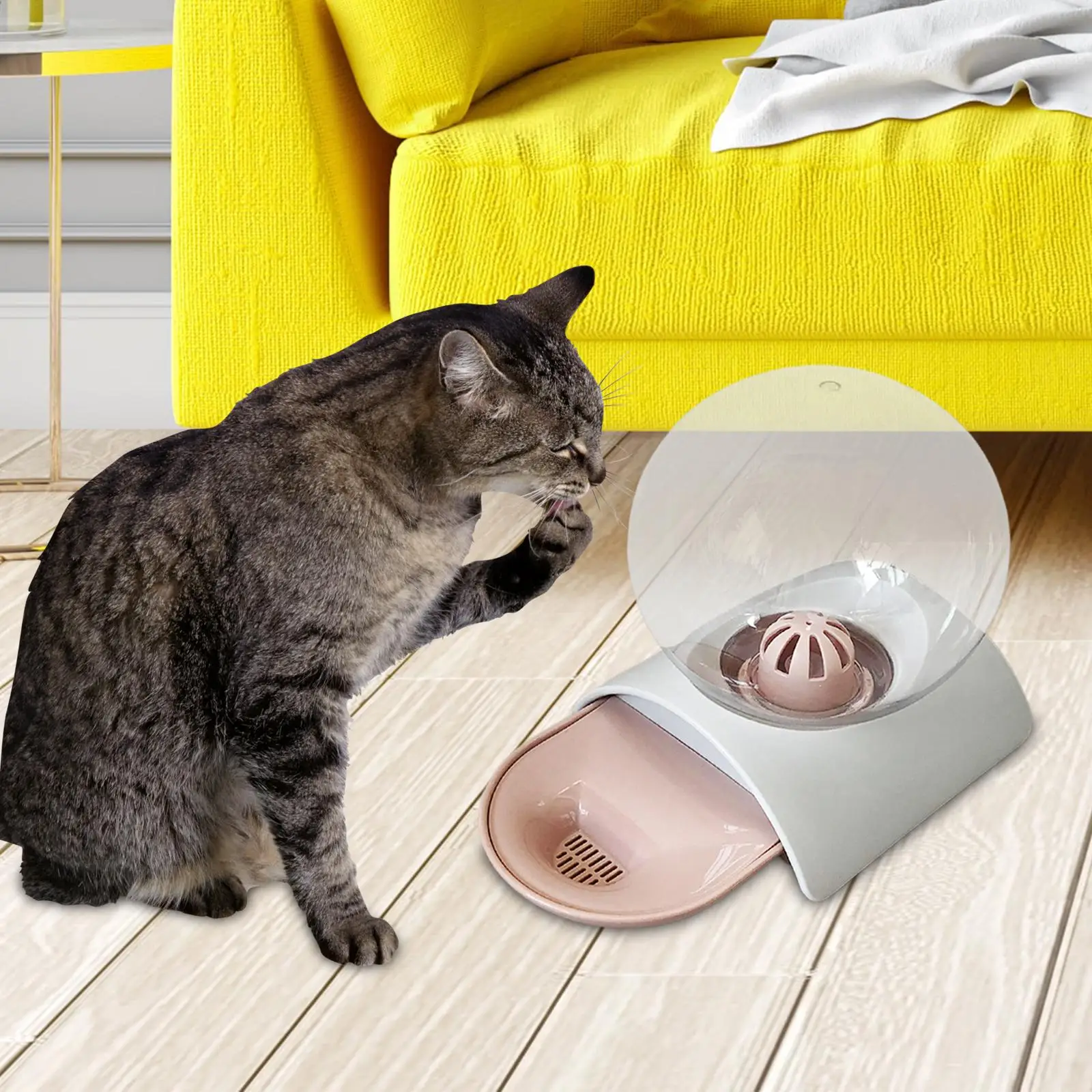 Automatic Water Dispenser Pet Feeder Drink Transparent Kitty Drinking Bowl