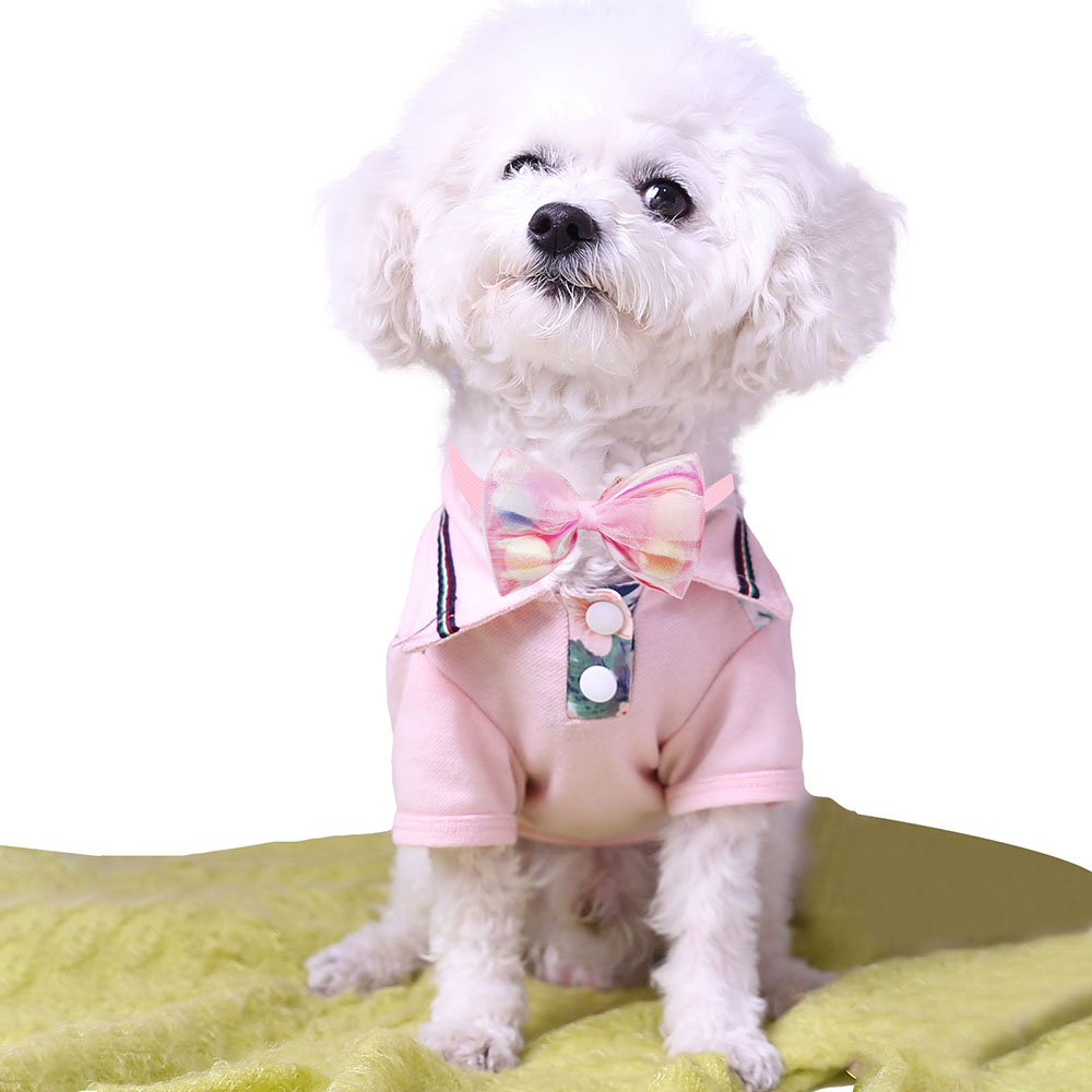 50PCS Lace Bow Ties for Small Dog Adjustable Dog Collar Cat Collar Cute Pompoms Bowties for Puppy Dog Grooming Accessories