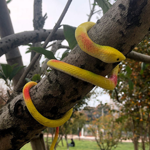 Juegos De Broma, Serpiente De Cascabel, Cobra Juguetes | Meses Sin Interés